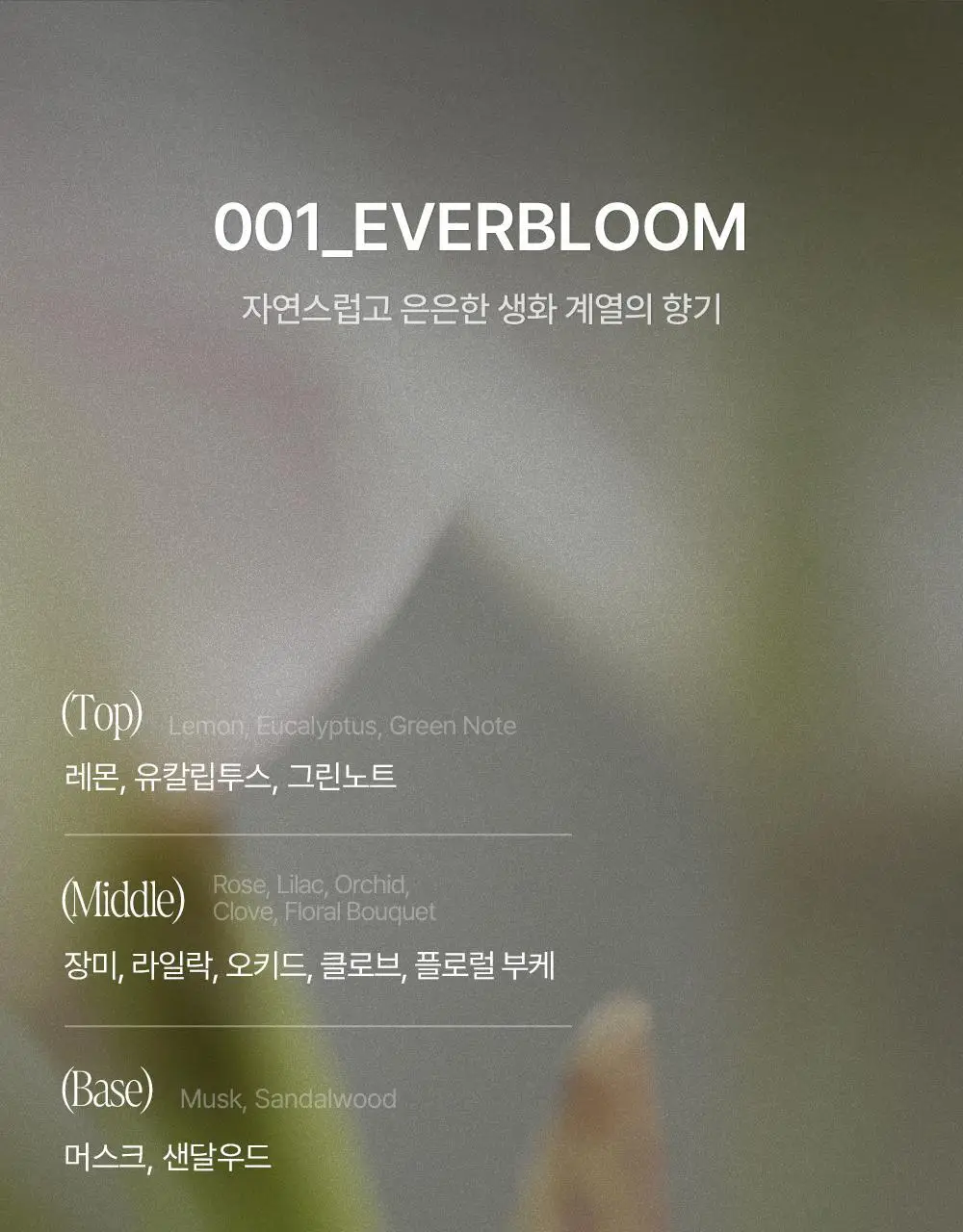 [열보호] 탐즈 시그니처 트리트먼트 500ml 2종 택 1 (MAY/EVER BLOOM) 상세페이지 7